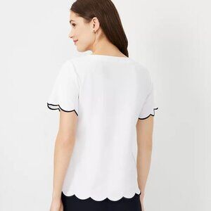Ann Taylor Bright Scalloped Hem Short Sleeve Top (White)